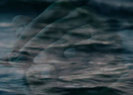 <p data-block-key="7gbd9">VIKAND Solutions</p>